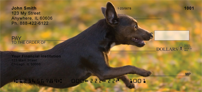 Charming Chihuahua Personal Checks