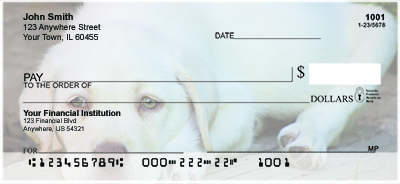 Yellow Lab Puppies Personal Checks 