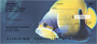 Up Close with Tropical Fish Personal Checks
