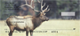 American Wildlife Personal Checks