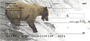 Grizzly Bears in the Wild Personal Checks