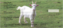 Goat Profiles Personal Checks