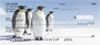 Penguins Personal Checks