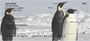 Penguins Personal Checks