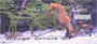Sea Horses Personal Checks