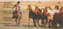 Horse on the Prarie Roundup Personal Checks
