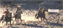 Horse on the Prarie Roundup Personal Checks