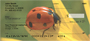 Ladybugs on Flowers Personal Checks