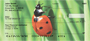 Ladybugs Close and Personal Personal Checks