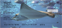 Manta Rays Personal Checks