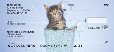 Maine Coon Cat Kittens Checks