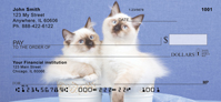 Ragdoll Kittens Personal Checks
