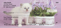 Ragdoll Kittens Personal Checks