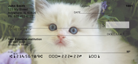 Ragdoll Kittens Personal Checks