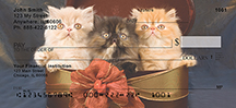 Persian Kittens Personal Checks