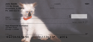 Birman Kittens Personal Checks 