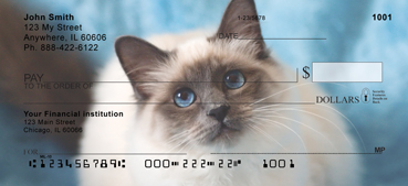 Birman Cats Checks