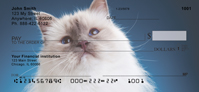Birman Kittens Personal Checks