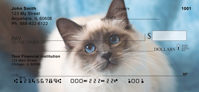 Birman Kittens Personal Checks