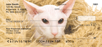 Hairless Sphynx Kittens Personal Checks
