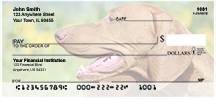 Hungarian Vizsla Personal Checks