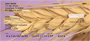 Harvest Time Personal Checks