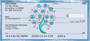 Four Season Trees Personal Checks