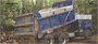 Dump Trucks Personal Checks