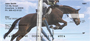 Equestrian Jumping Personal Checks
