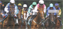 At the Track Horse Racing Personal Checks