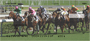At the Track Horse Racing Personal Checks