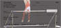 Gymnastics Personal Checks