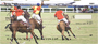 Polo Sport of Kings Personal Checks