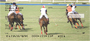 Polo Sport of Kings Personal Checks