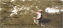 Scenic Fly Fishing Personal Checks