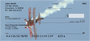 High Flying Stunt Plane Personal Checks