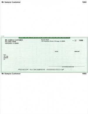 Green Safety Middle Voucher Computer Checks