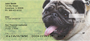 Pugs At The Park Personal Checks