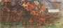 Dreary Fall Days Personal Checks