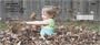 Leaf Pile! Personal Checks