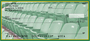 Green & Gold Football Team Personal Checks