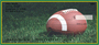 Green & Gold Football Team Personal Checks