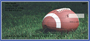Blue & Silver Football Team Personal Checks