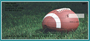 Midnight Green & White Football Team Personal Checks