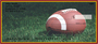 Burgundy & Gold Football Team Personal Checks