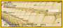 Black & Gold Football Team Personal Checks
