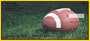 Black & Gold Football Team Personal Checks