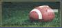 Blue & Yellow Football Team Personal Checks