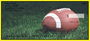 Yellow & Black Football Team Personal Checks