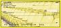 Yellow & Black Football Team Personal Checks